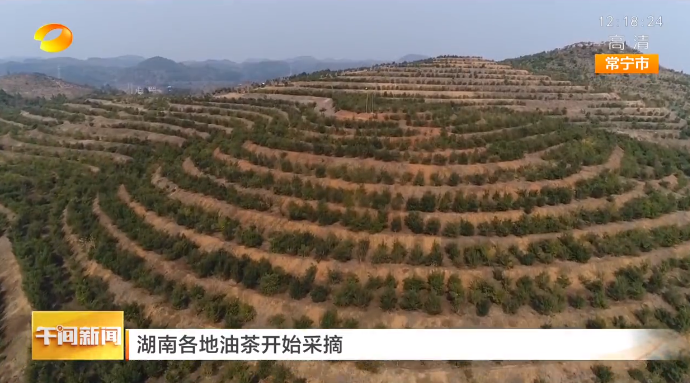 微信截图_20211010195353.png