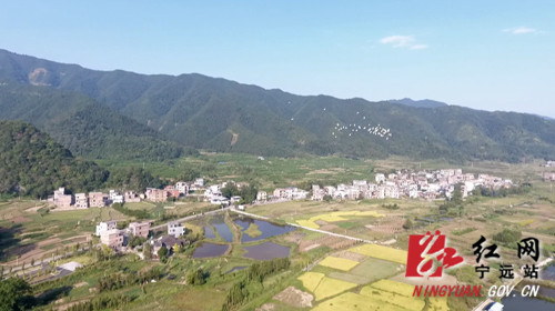 宁远：九嶷河国家湿地公园成为温馨的候鸟“驿站”01_副本500.jpg
