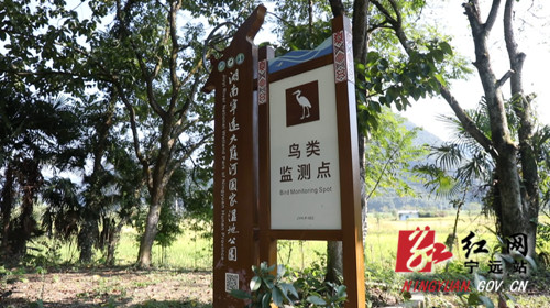 宁远：九嶷河国家湿地公园成为温馨的候鸟“驿站”3_副本500.jpg