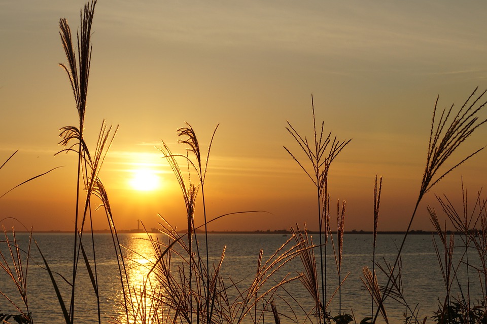 beach-6670718_960_720.jpg beach-6670718_960_720.jpg