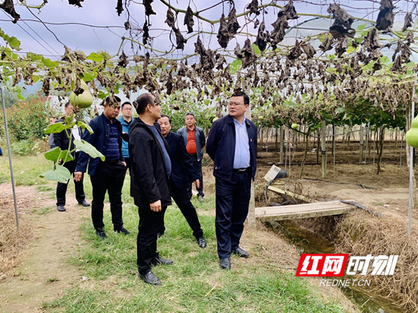 2_副本.jpg 2_副本.jpg