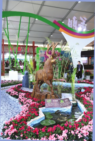 湖南省花卉苗木博览会15日开幕 14个市州均设有展位