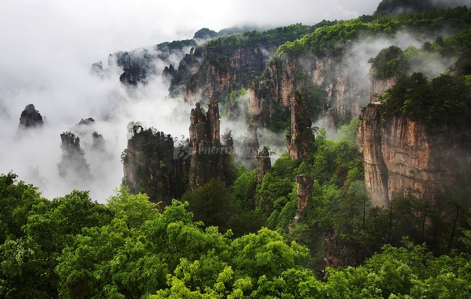 杨素琴4.jpg 杨素琴4.jpg