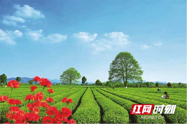 无标2题.jpg 无标2题.jpg