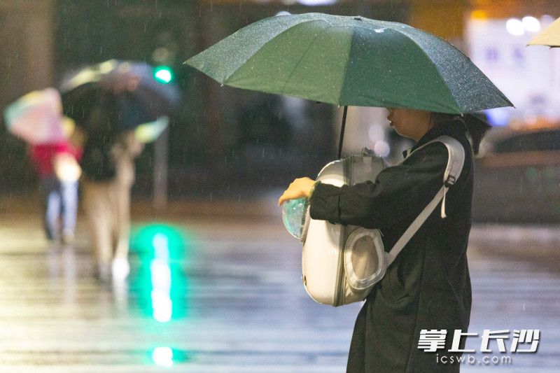 一位女子为自己的宠物猫包擦拭雨水。