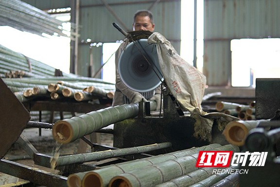 5.marked.jpg 5.marked.jpg