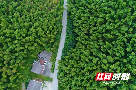 2.marked.jpg 2.marked.jpg