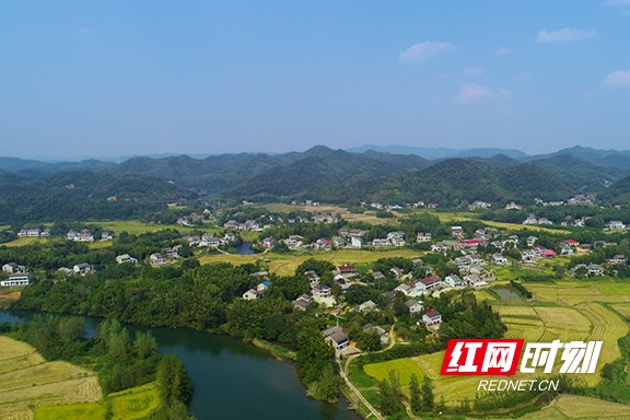 3.marked.jpg 3.marked.jpg