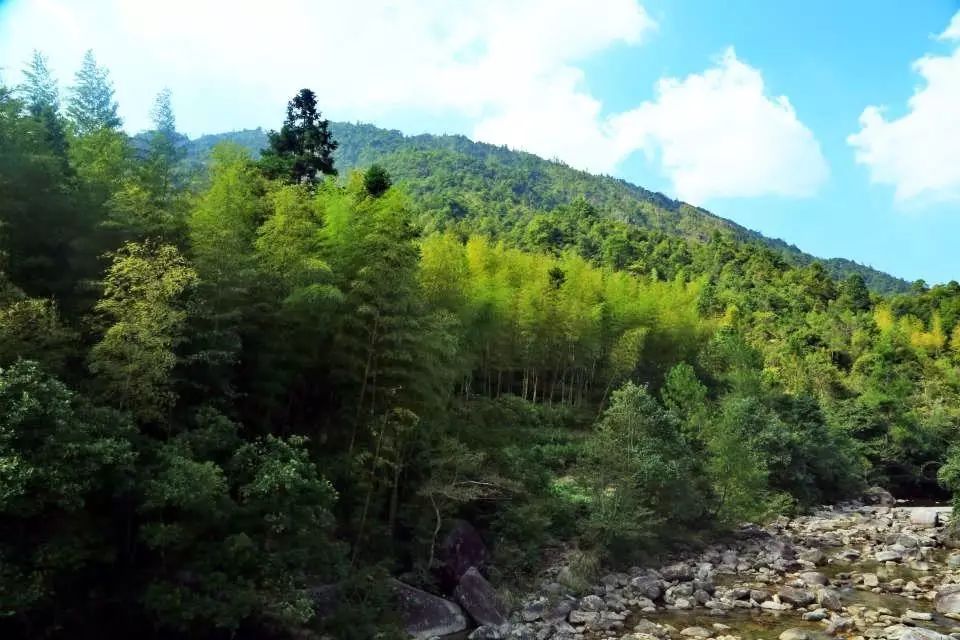 桂东县新坊乡龙溪村.jpg