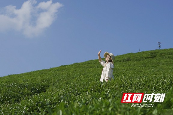 6.marked.jpg 6.marked.jpg