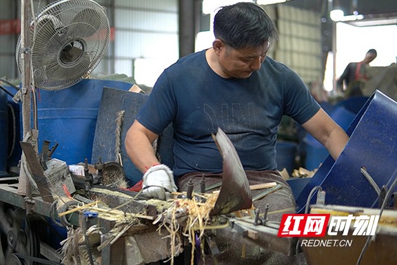 4.marked.jpg 4.marked.jpg