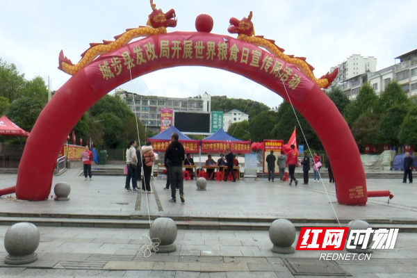 城步发改局开展世界粮食日宣传周活动_邵阳头条网