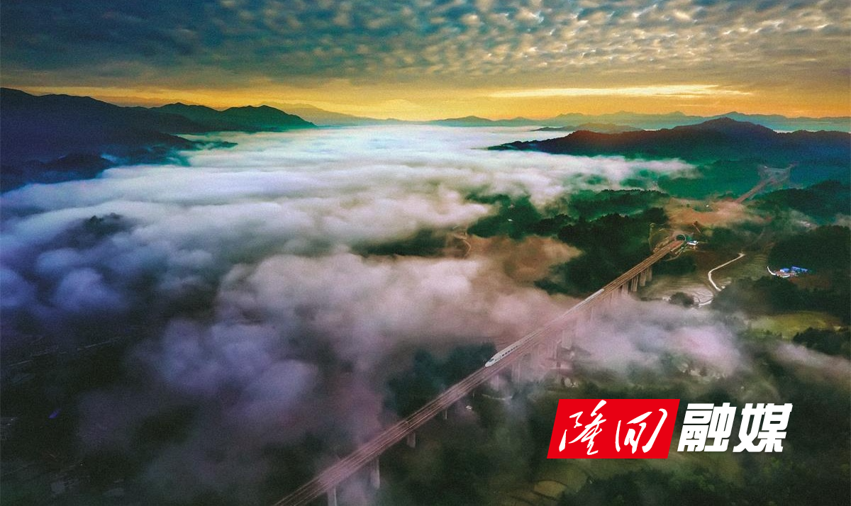 微信图片_20211020095421_看图王.jpg