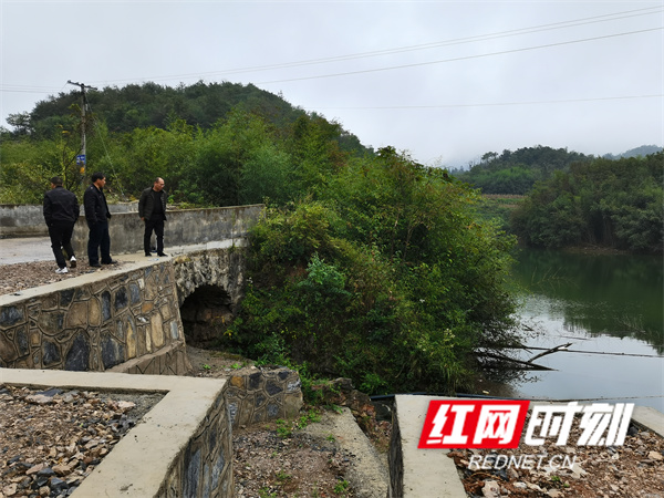 骨干塘巡查杨乡长.jpg