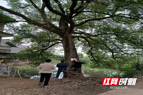 微信图片_20211019164253.jpg