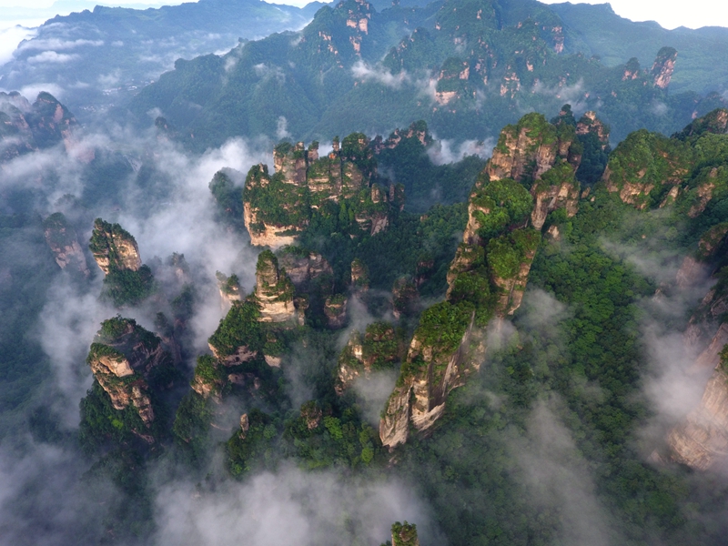 图五：2017年6月16日晨，航拍下的张家界黄石寨景区云绕峰林景观。吴勇兵摄_副本.jpg