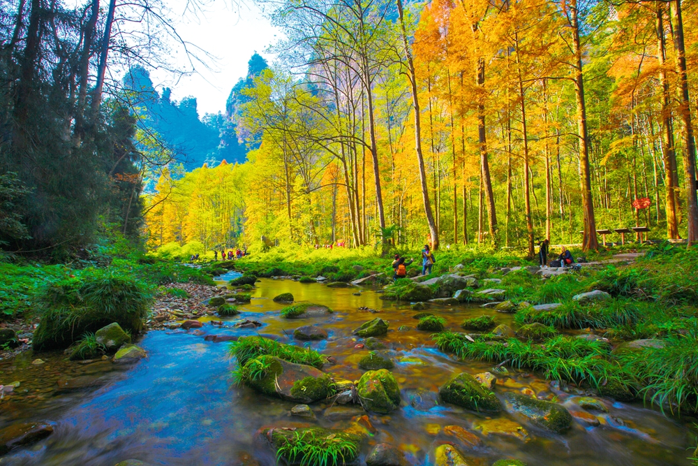 金鞭溪-彭立平 (50)_副本.jpg