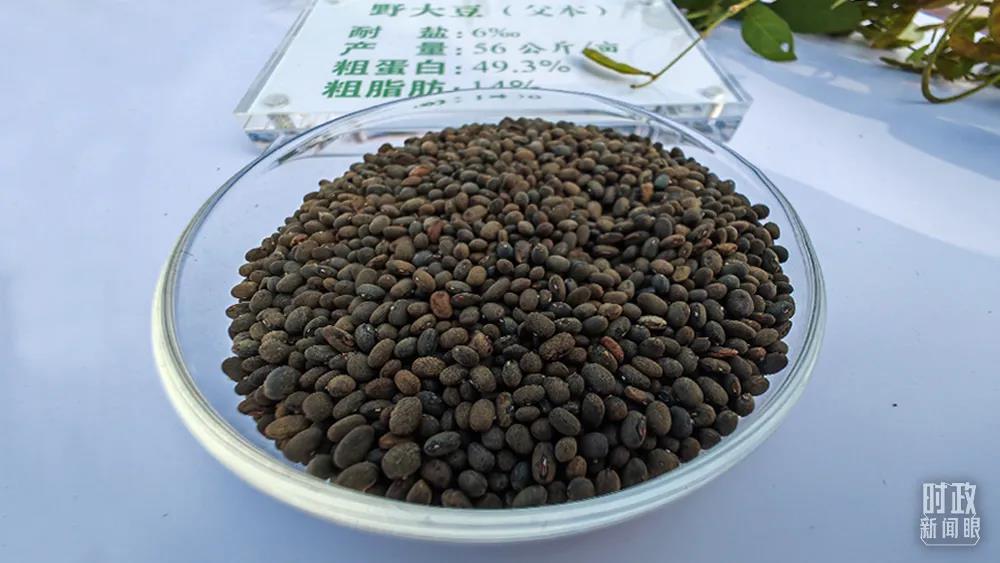 时政新闻眼丨习近平东营考察第二天，看懂“变迁”背后的中国“密码”