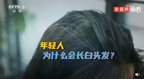 微信图片_20211025143332.png