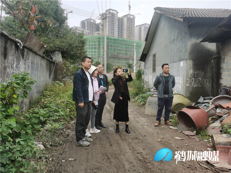 图片11.jpg