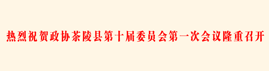 002热烈祝贺政协茶陵县第十届委员会第一次会议隆重召开.jpg