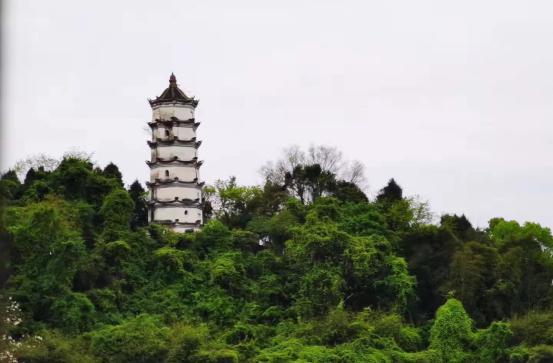 图片7.jpg