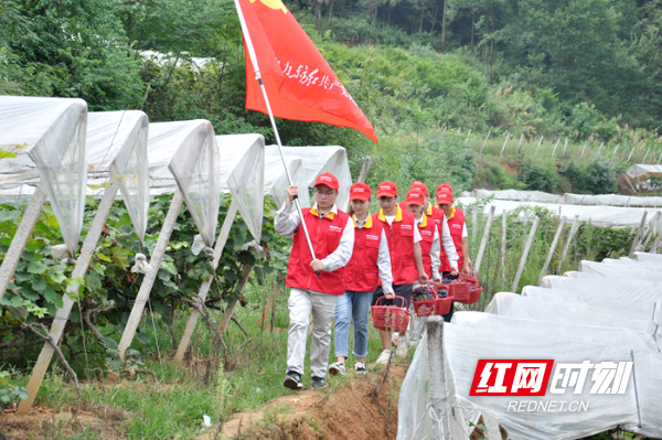志愿服务.jpg