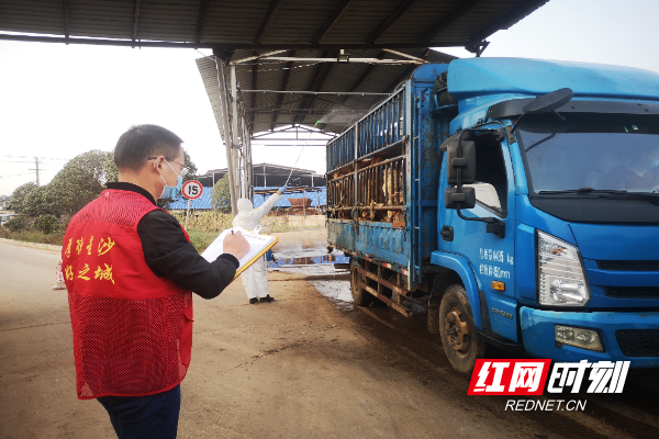 长沙县自然资源局干部和厂区人员分工合作，对运载活禽进出车辆进行登记、消杀。.jpg