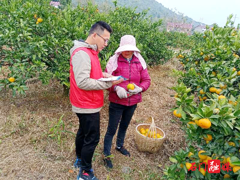 志愿者下农田向居民宣传app安装.jpg
