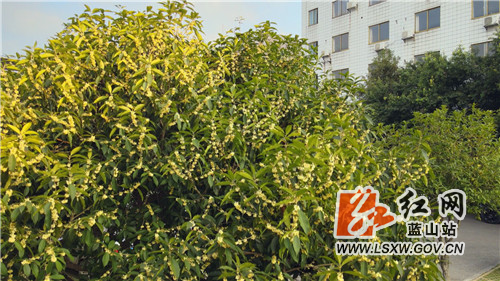 微信图片_20211028172010.jpg 微信图片_20211028172010.jpg