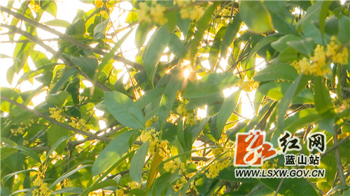 微信图片_20211028172007.jpg 微信图片_20211028172007.jpg