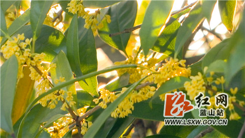 微信图片_20211028172014.jpg 微信图片_20211028172014.jpg