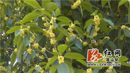 微信图片_20211028172017.jpg 微信图片_20211028172017.jpg