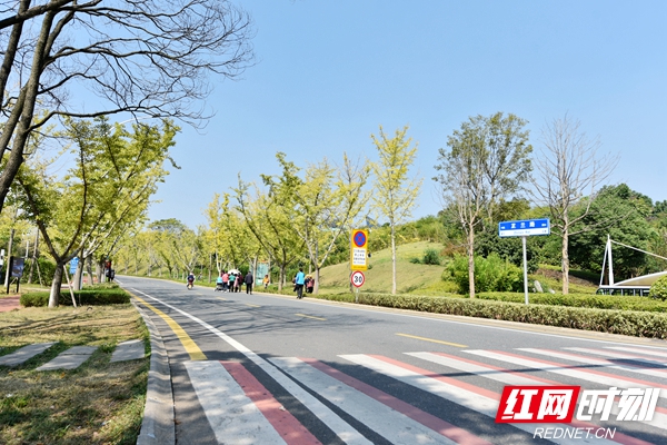 在通往景区的芷兰路上，经常随意停靠在路边的车辆消失不见 (2)_副本.jpg