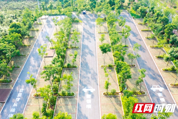 芷兰路生态停车场_副本.jpg