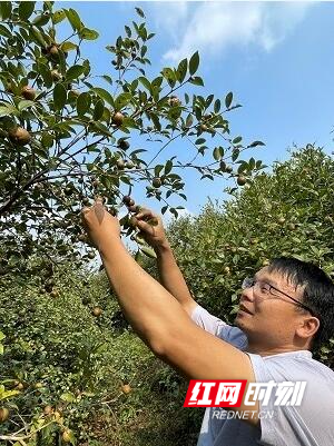 QQ截图20211029104209.jpg QQ截图20211029104209.jpg