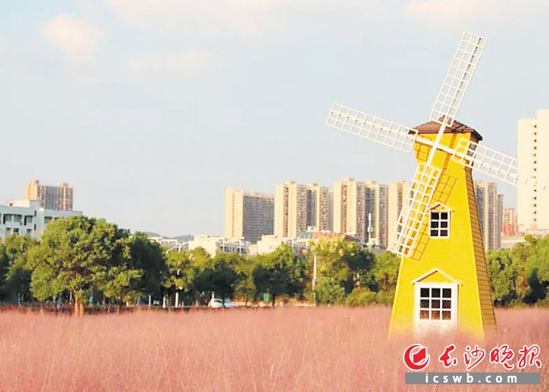 　　湖南中医药大学