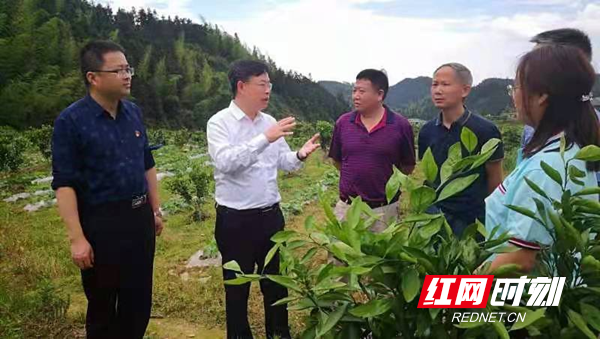 图片5.png 图片5.png