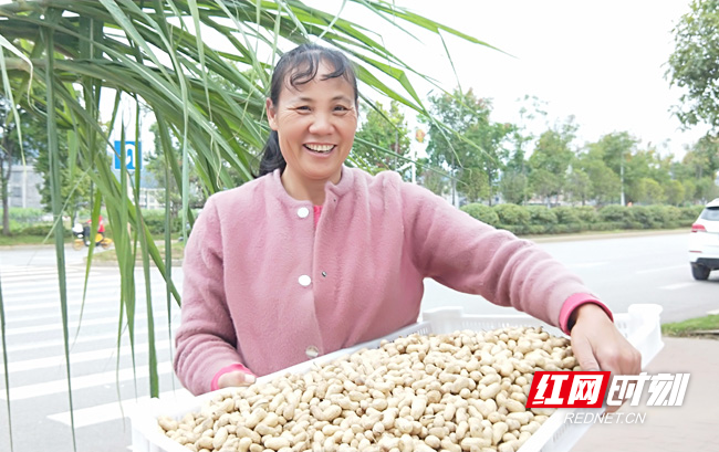 黑花生3 - 副本.jpg 黑花生3 - 副本.jpg