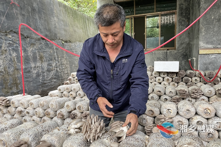 20211121635846639991_66.jpg 20211121635846639991_66.jpg