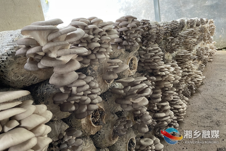 20211121635846641615_66.jpg 20211121635846641615_66.jpg