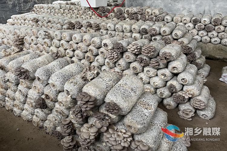 20211121635846633393_66.jpg 20211121635846633393_66.jpg