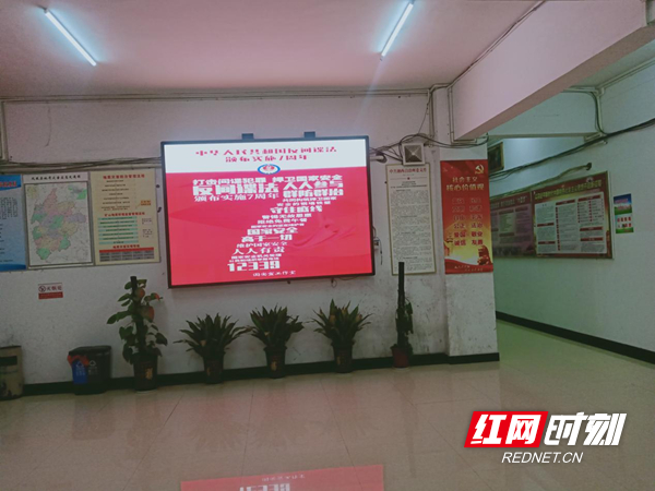 图片11.jpg 图片11.jpg