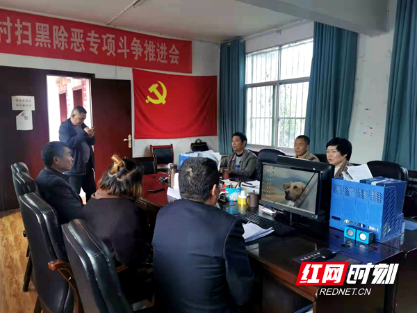 李蔓蓉在三坪村与乡村振兴工作队、村委会主要负责人面对面交谈。.jpg