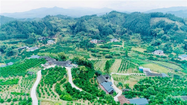 (世界杂交水稻的发源地—湖南省洪江市安江镇)