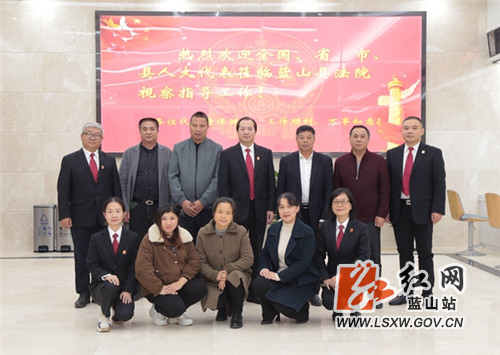 全国、省市县四级人大代表应邀走进蓝山法院调研座谈.jpg