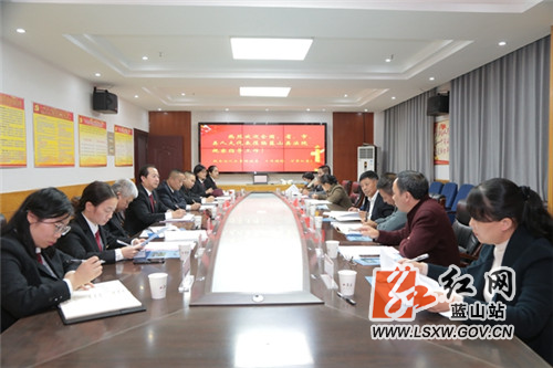 全国、省市县四级人大代表应邀走进蓝山法院调研座谈 (1).jpg