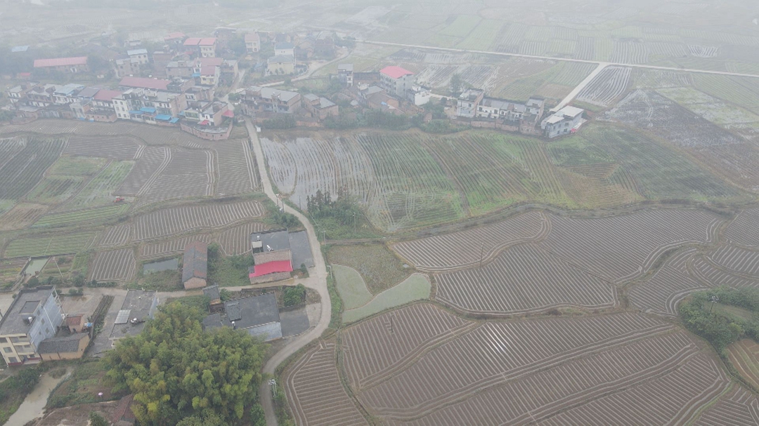 Still1104_00030_副本.jpg