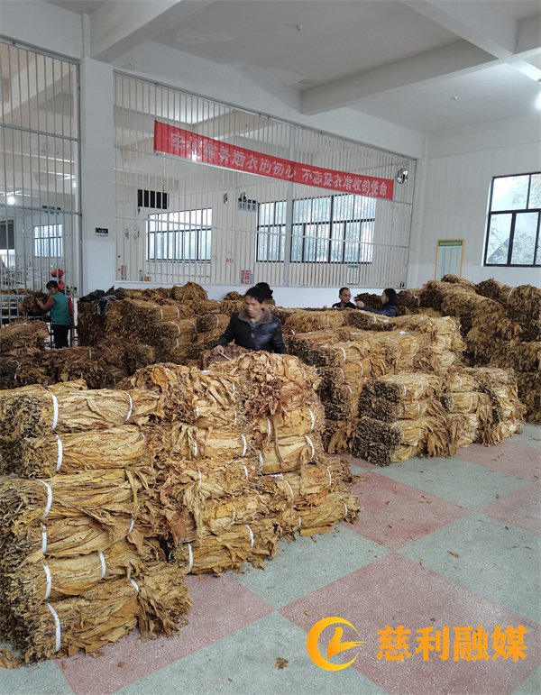 d01540b4687402356c8fa01239ef5f1_副本.jpg d01540b4687402356c8fa01239ef5f1_副本.jpg