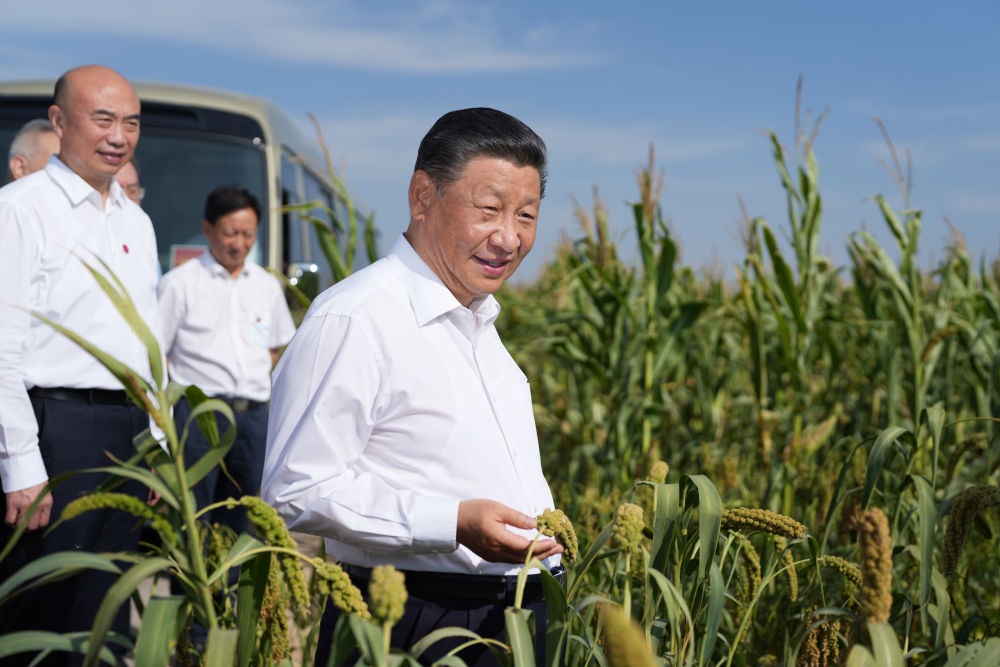2021年9月13日，习近平在陕西省榆林市考察调研。这是习近平在米脂县银州街道高西沟村考察。新华社记者 李学仁 摄